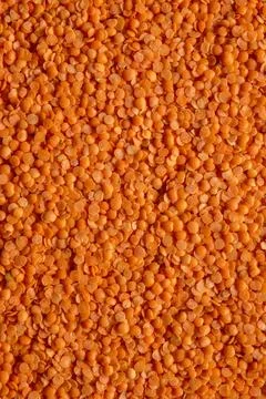 Red lentils background, full frame. Stock Photos