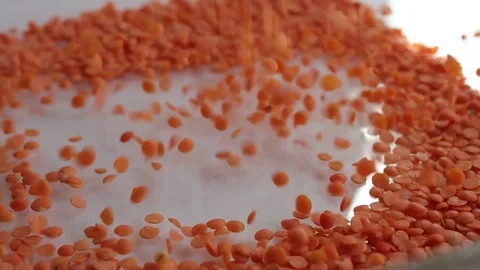 Red lentils dropping with white background Stock Footage 128982313