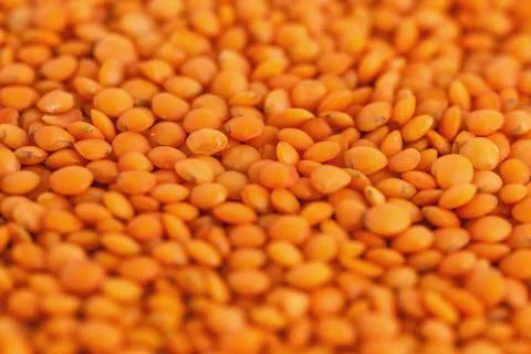 Red lentils forming a background pattern, healthy food Foto stock
