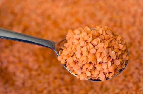 Red lentils Stock Photos
