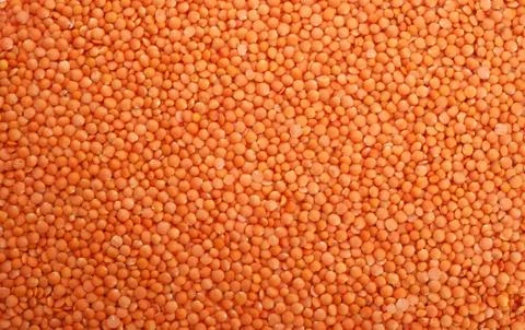 Red lentils Stock Photos
