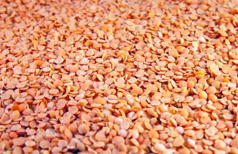 Red lentils Stock Photos