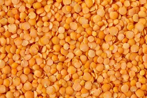 Red Lentils Фото