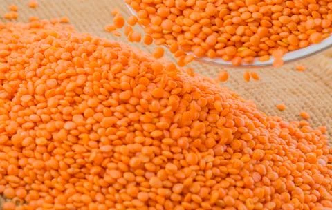 Red Lentils Stock Photos