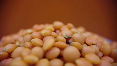 Red lentils rotate Stock Footage 229775449