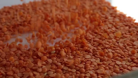 Red lentils stock 2 Stock Footage