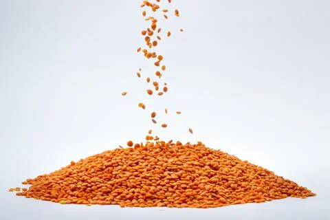 Red lentils on a white background. Stock Photos