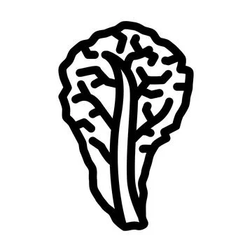 Red lettuce line icon vector illustration Ilustración de archivo