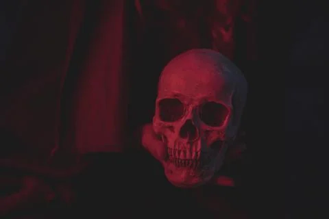 Red light cement skull design halloween . High quality and resolution beautiful Stock Photos
