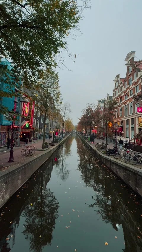 Red-light district 9 Stock Footage 321778780