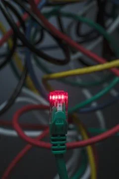 Red light emitting from green computer cable Fotos Stock