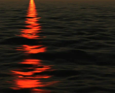 Red Light Видео 103669