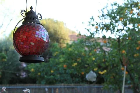 Red light hanging from a tree on a nice Summer evening Stock Photos