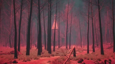 A red light illuminates the abandoned forest. An old church in the distance. Stock Footage 302788688
