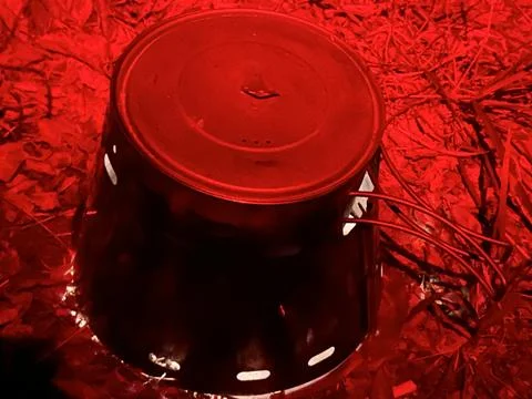 Red Light Night Cooking Setup During Wilderness Camping Stock Photos