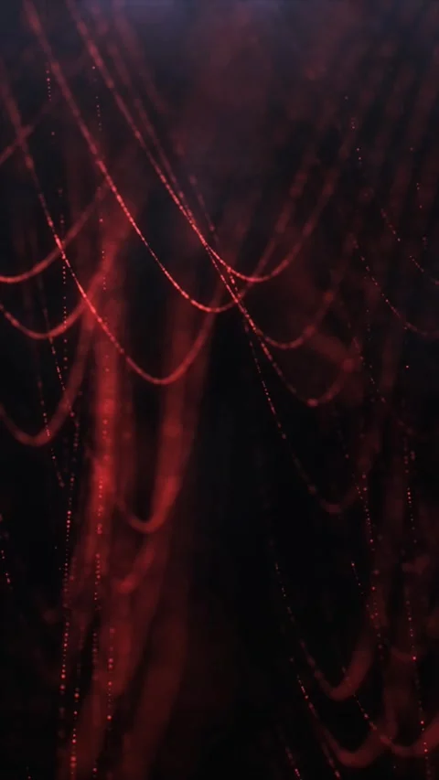 Red light weaves intricate patterns Video stock 312694786