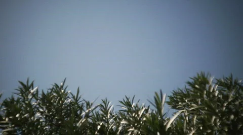 Red Lighthouse Pan Video stock 653369