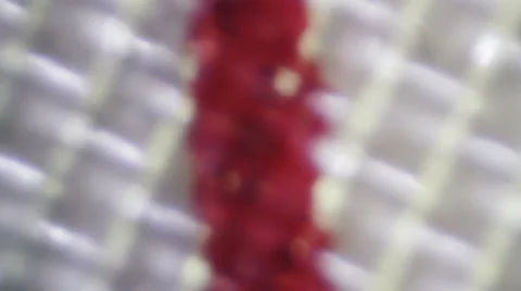 Red line running through the screen on a paper. Stock-Footage 64901704