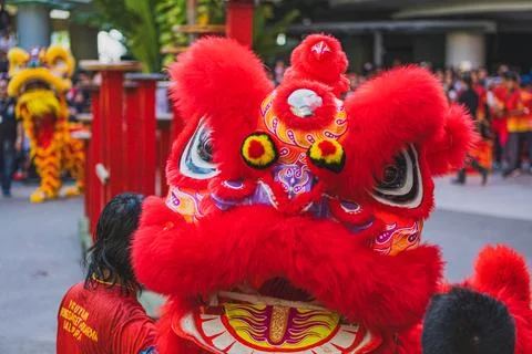 The red lion dance close up view near the crowd. Stock Photos