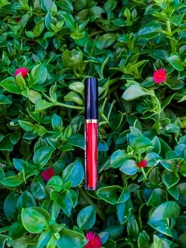 Red lip gloss tube on dense green groundcover with small pink flowers 写真素材