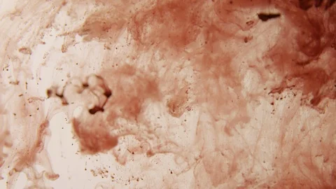 Red liquid 2pt2 Stock Footage 93519729