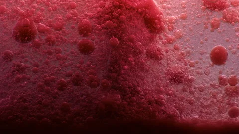 Red liquid blood background. Macro shot of various air bubbles. Stock Footage 146744665
