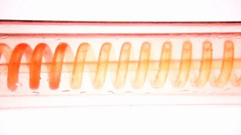 Red liquid running through spiral glass tube Stock Footage 127924921