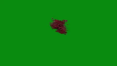 Red Liquid Splash Effect Green Screen Stock Footage 306038928