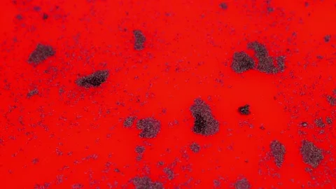 Red Liquid Surface with Dark Shapeless Objects. Red Abstract Background, Red Wat Video stock 169932123