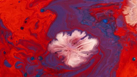The red liquid with white liquid appears. Evolution of progression Stock Footage 265037167