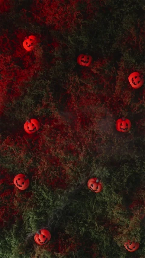 Red lit background with scattered mini pumpkins in smoke Stock Footage 342423377