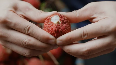 Red litchi fruit is opened with hands showing its core Stock Footage 92771045