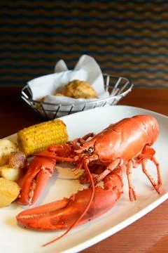 Red lobster Stock Photos