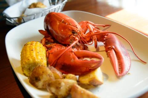 Red lobster Stock Photos