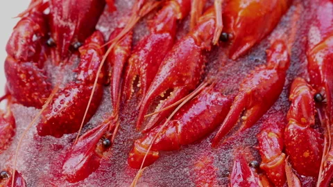 Red Lobsters On Ice. Fresh, Luxury Food.... | Stock Video | Pond5