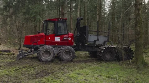 A red logging machine in a dense forest, built for timber transport. Equipped Stock Footage 316977808