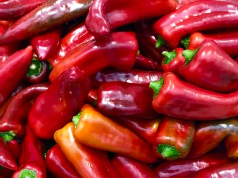 Red long chilly pepper close view Stock Photos