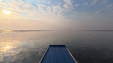 Red Lotus Lake (2) Video stock 327847795