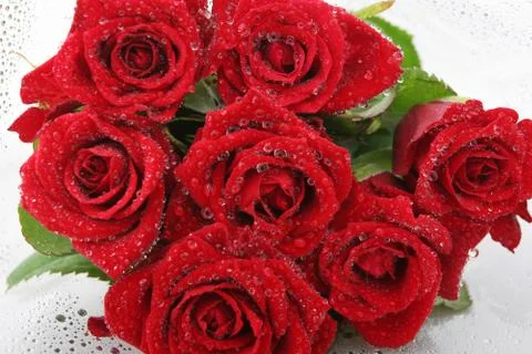 Red love Stock Photos