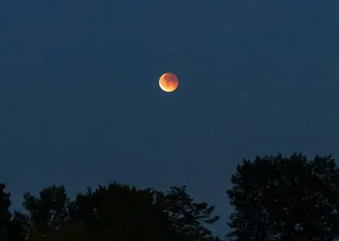 Red lunar eclipse glowing over dark trees at twilight in Germany Fotos Stock