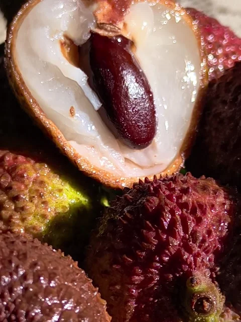 Red Lychee Video stock 317419998