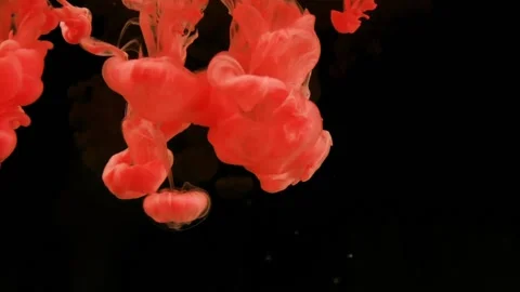  Red magic abstraction on black background. Stock Footage 88485439
