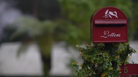 Red mail box and plants in the rain Stock Footage 129746329