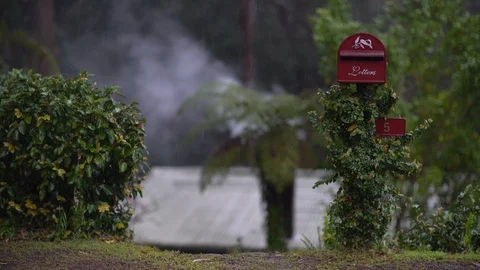 Red mail box with green plants, palm and a house roof with a chimney smoke. Stock Footage 129748005