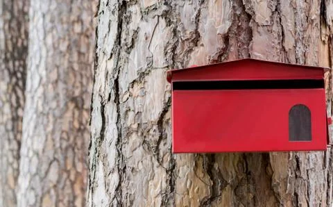 Red mailbox on tree background Stock Photos