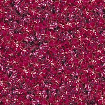 Red Malvon Motif Random Pattern Illustrazione stock