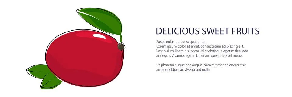 Red mango banner Stock-Illustration
