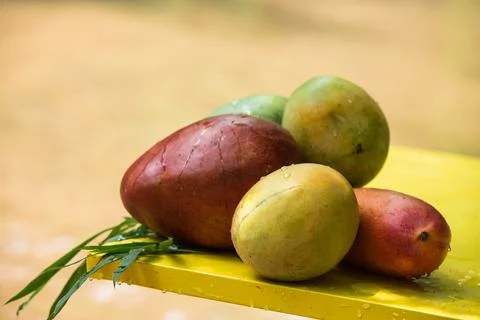 Red mango on table, vegetarian concept 写真素材