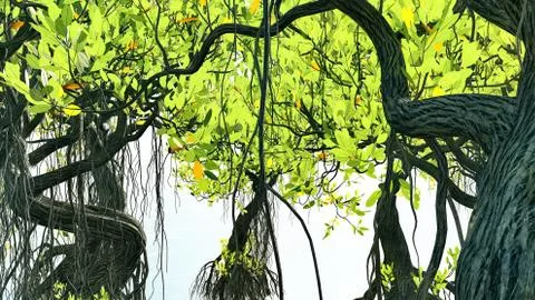 Red mangroves on Florida coast 3d rendering Ilustración de archivo