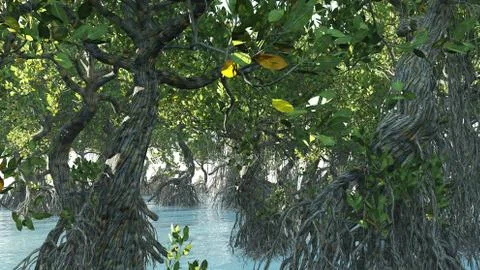 Red mangroves on Florida coast 3d rendering Stock Illustration